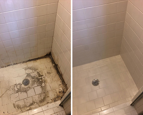 Shower Before and After a Tile Cleaning in Durham, NC