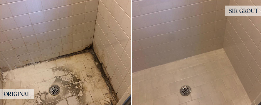 Shower Before and After a Superb Tile Cleaning in Durham, NC