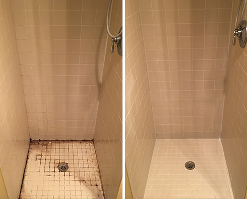 Shower Before and After a Tile Cleaning in Hillsborough, NC 