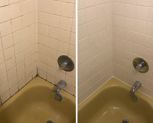 Shower Before and After a Grout Cleaning in Durham, NC